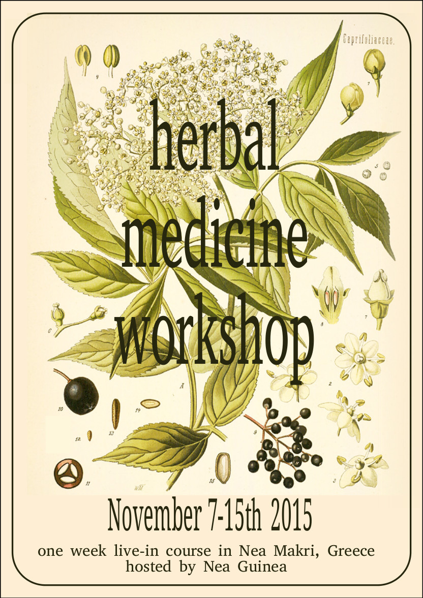 herbal medicine english Nov2015_p1